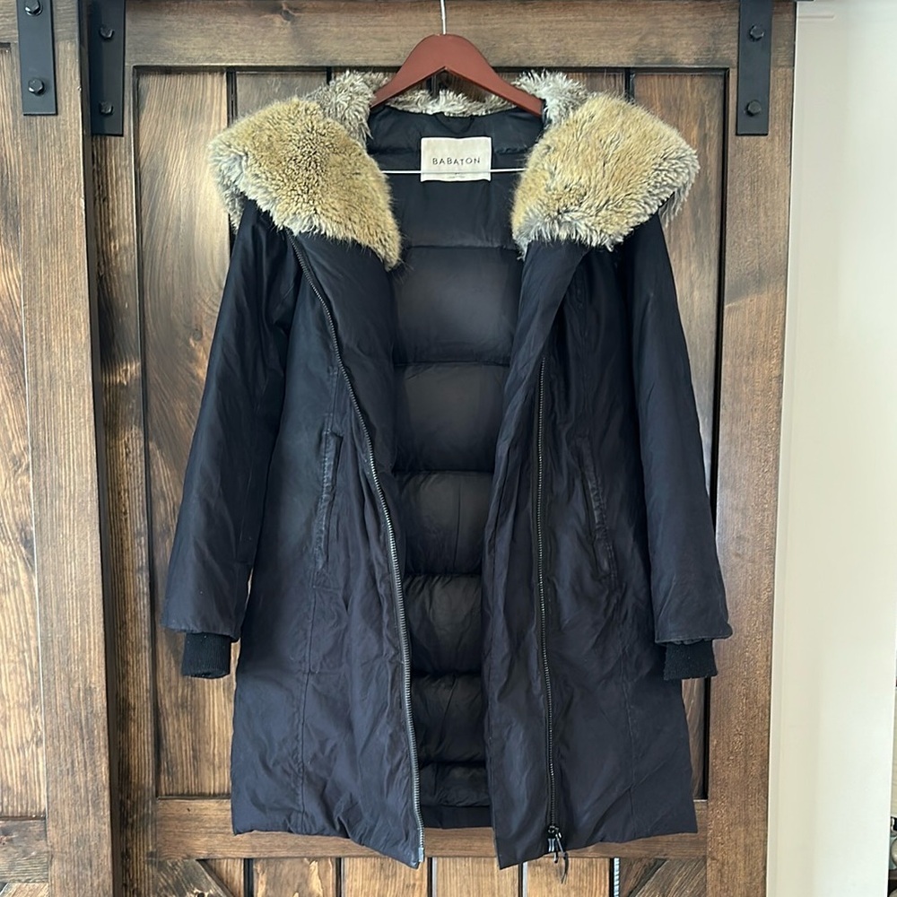 Aritzia Babaton Gilligan Parka (now St. Moritz), Size XS